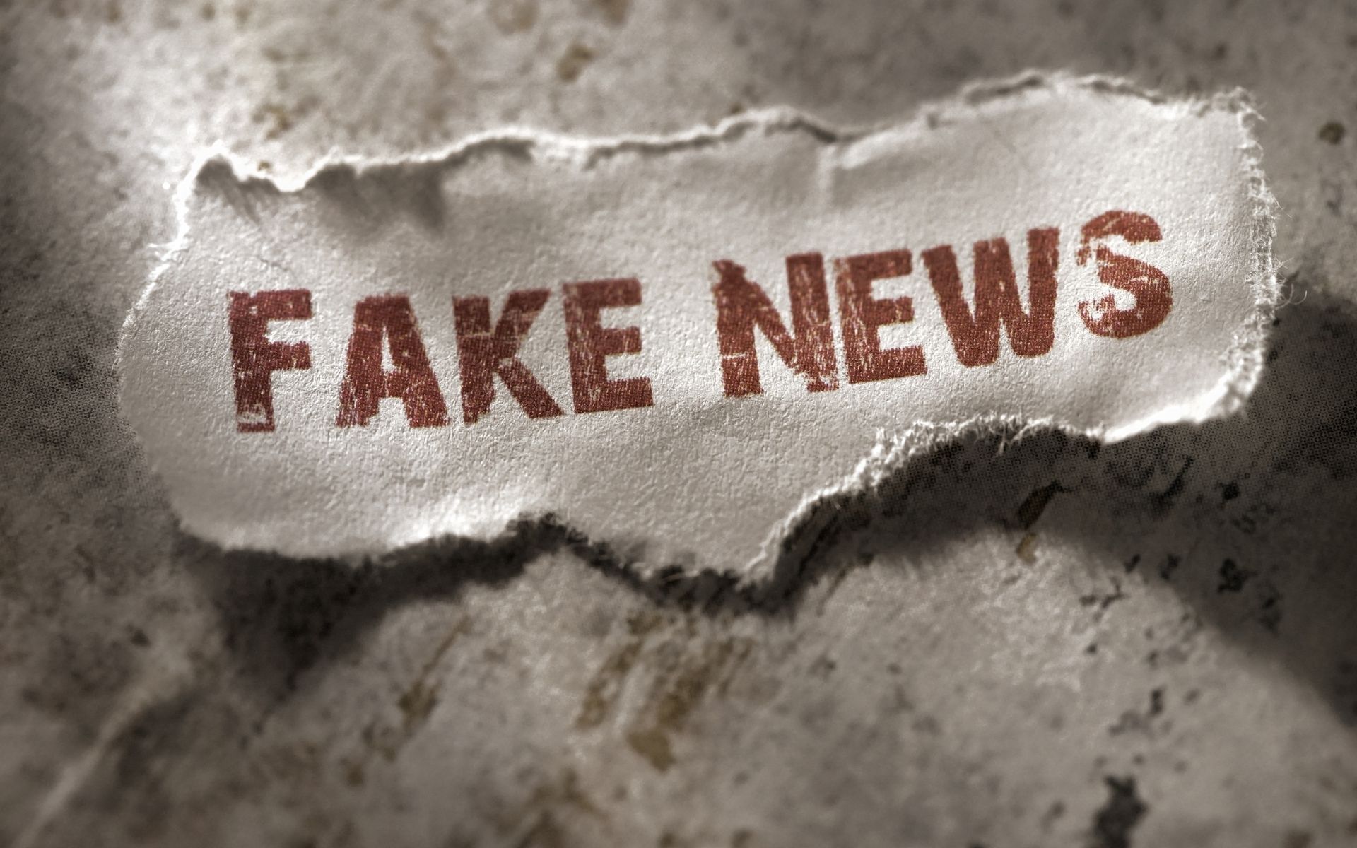 fake news trans