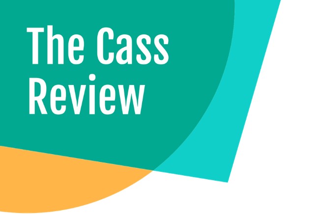 Logomarca do Relatório Cass