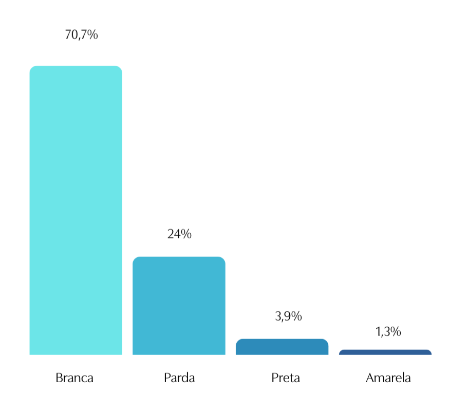 Autodeclaração de raça e cor das associadas da MATRIA