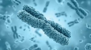 Definição de sexo na biologia humana