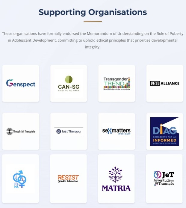 Logos de algumas das organizações apoiadoras do Memorandum of Understanding.