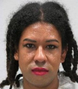 Henrico Hilton G assassino que se declarou trans na Alemanha e aterrorizou as detentas da prisão feminina