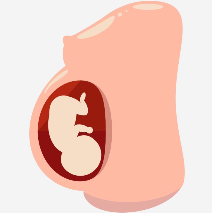 Ilustração de barriga grávida com bebê dentro em texto da MATRIA criticando barriga de aluguel surrogacy