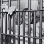 Mulheres encarceradas
