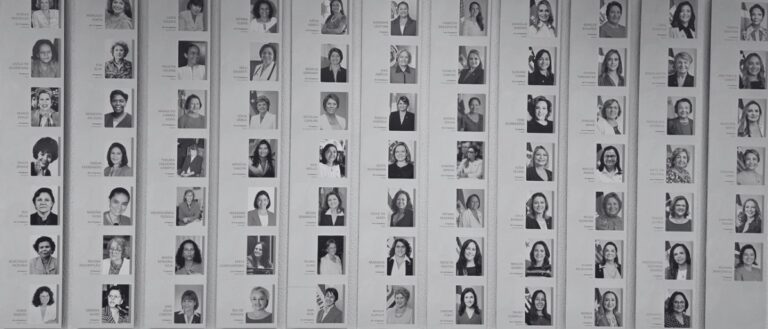 Representação política das mulheres e defesa dos direitos do sexo feminino