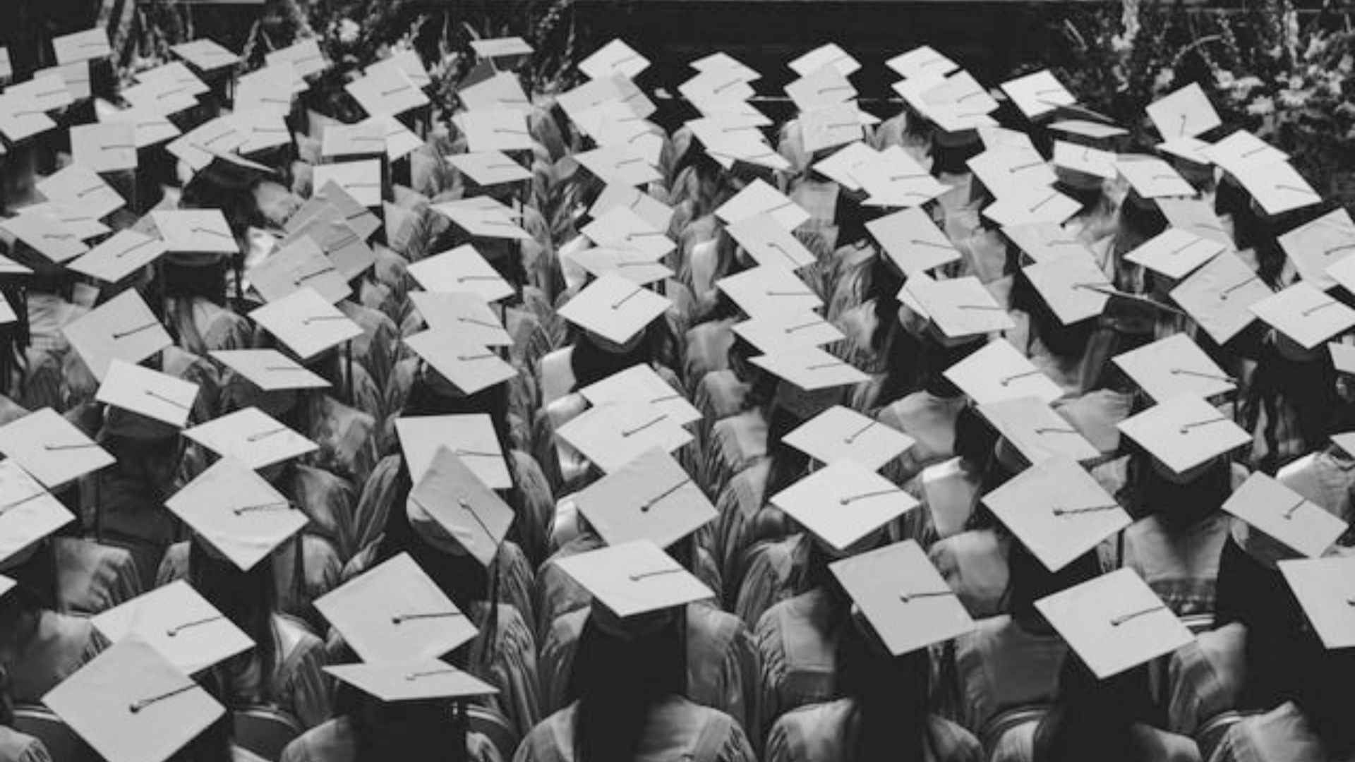 Alunos de universidade pública onde se aplicam cotas trans