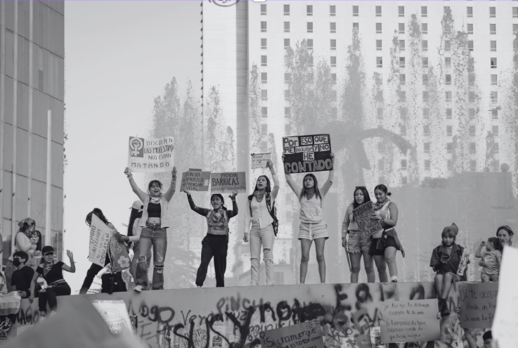 Mulheres de esquerda protestando